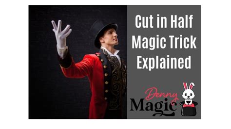The Mythology of Half Magic Wing Magicians: Legends and Lore